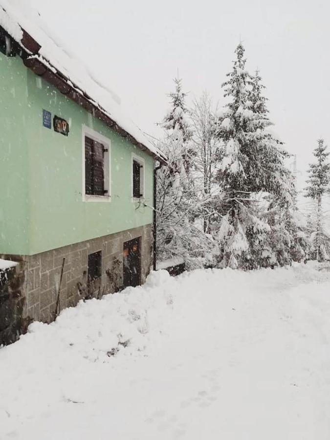 Forest Chalet Zalesina Exterior photo