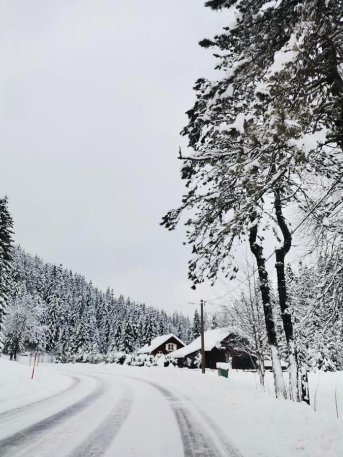 Forest Chalet Zalesina Exterior photo